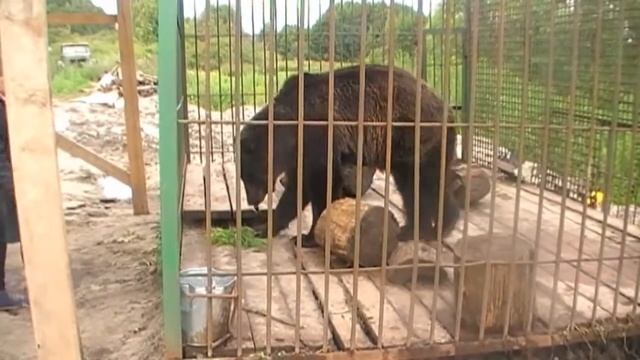Гостиничный комплекс "Ботик" в Переславле