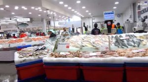 Рынок морепродуктов в Сиднее. Можно купить все, что плавает в воде. (видео 331)