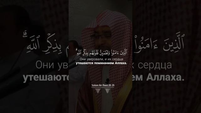 Чтец: Мухаммад ЛюхайданСура: 13  «Ар-Раад»Аяты: (28-29) #quran #ислам #muhammadﷺ #напоминание #isla