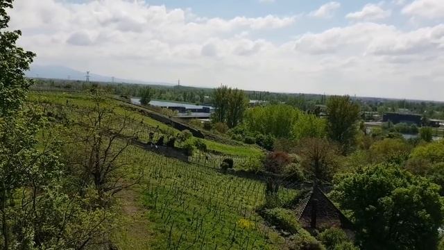 229. ВЛОГ: один нерукодельный (ну почти...) день из жизни рукодельницы смотреть онлайн