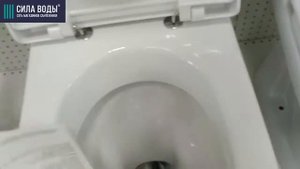 Распаковка Унитаз напольный в комплекте Sanita Next Luxe  (сиденье дюропласт)