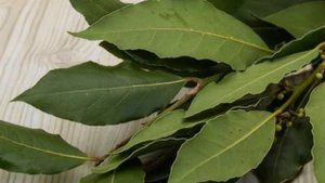 Как избавиться от тараканов, эффективное народное средство