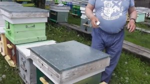 Как увеличить пасеку? Часть 5.  Результаты.