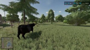 FS-22 Мод(ная) рубрика. Русификатор для MaizePlus и Enhanced Animal System