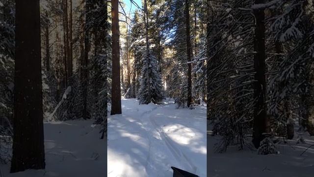 Завалил мотособаку на бок. смотреть онлайн