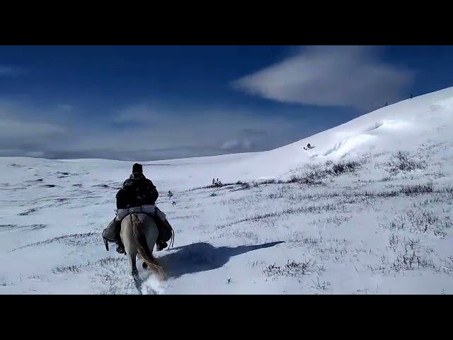 Нелегкий путь в начале осени в высокогорье