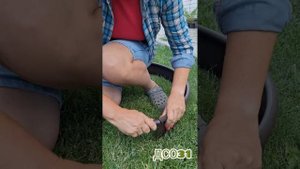 Установка бордюра типа Кантри/Канта.