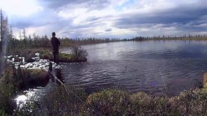 На квадроциклах в горы, где цветет багульник.mp4