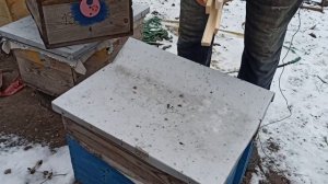 Подкормка пчёл мёдом зимой. Зимняя подкормка слабых семей и отводков пчел. Мед в пакетах зимой