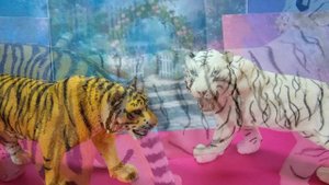 Моя коллекция качественных фигурок collecta, schleich, papo, MOJO №2 ~ Семейство кошачьих