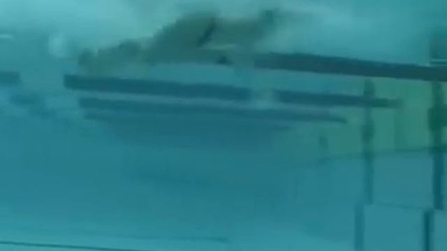 Баттерфляй. Денис Панкратов. Учебное видео. Техника. смотреть онлайн