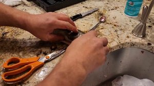 Чистим Форель! Способ Быстро Почистить Рыбу. Лайфхак...??? #рыбалка #fishing #чистка #fishcleaning