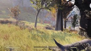 Fallout 76 ⛳️ Карта лесных сокровищ #9 ✔️