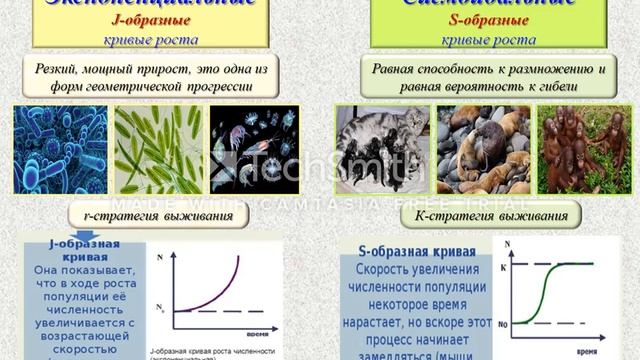 Биология. урок №3 Экспоненциальные и сигмоидальные кривые роста популяций