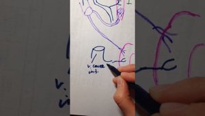 Порто-кавальные анастомозы