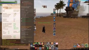 ArcheAge Паладин. Билд + мини гайд!