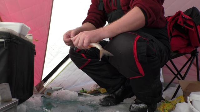 Зимняя рыбалка, Бирюсинский залив, Красноярское водохранилище. смотреть онлайн