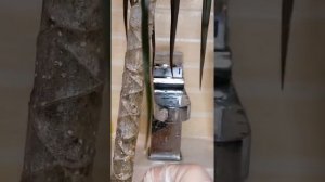 СПАСАЕМ ДРАЦЕНУ ОТ БЕЛЫХ ЛИЧИНОК!!! Очень хороший и лёгкий способ в домашних условиях! ?