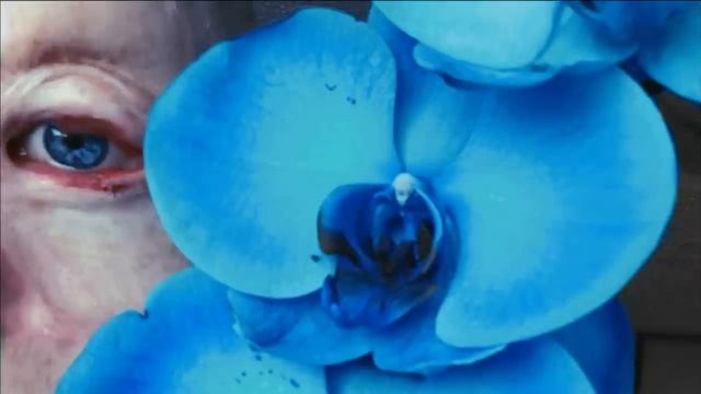 Люди говорили: лучше бы ты не выжил смотреть онлайн