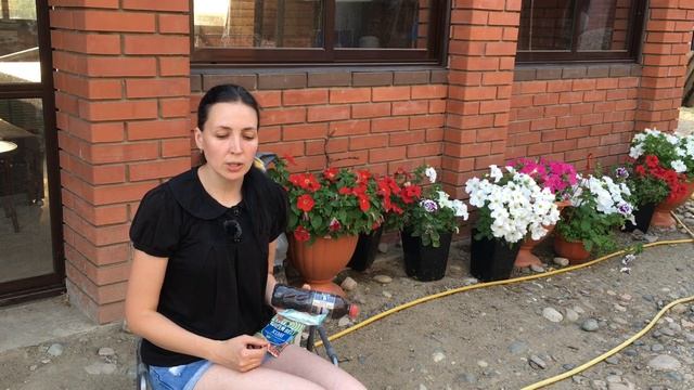 Бурые пятна на листьях томатов-Кладоспориоз!
