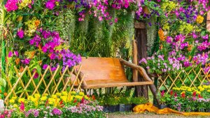 ?Красота на даче и в саду Идеи ландшафтного дизайна / Landscaping ideas for the garden / A - Video