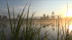 Жареная рыба по оригинальному и простому рецепту. На рыбалке. Как щуку нарекли ОКОРОЧКАМИ
