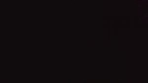 Парк светлячков в Куала Лумпур // Лучшие места в Малайзии