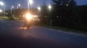 Учусь стантить/Стант на скутере/Стант на все бабки