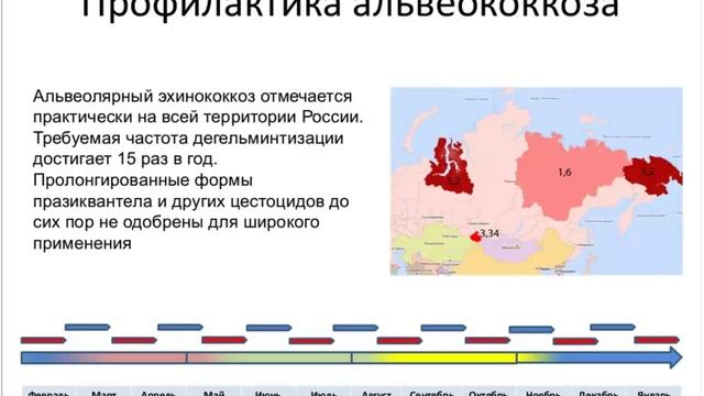 Профилактика ВСЕХ паразитарных заболеваний (вебинар)