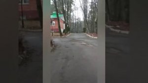 Санаторий Калуга-Бор