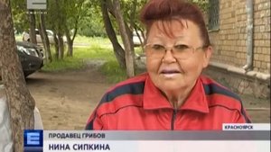 Несмотря на обильный урожай на севере края, в пригороде Красноярска грибы встречаются редко