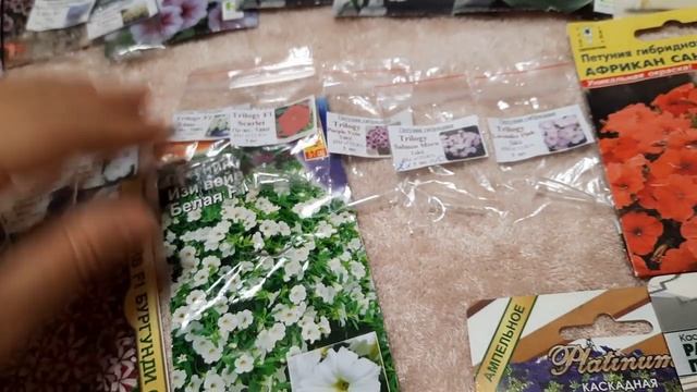 Ампельная Петуния. Самые красивые сорта ампельной петунии на 2022г./Какие петунии украсят ваш сад?