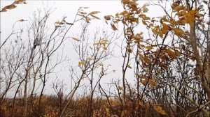 2023.09.16. Первый снег в Норильске!!!