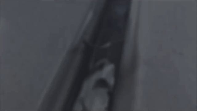 TOYOTA COROLLA l Спасаем крышу, двери и капот. Рихтовка автомобиля. ЧАСТЬ 1. смотреть онлайн