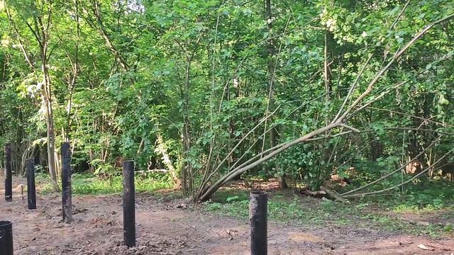 Благоустройство лесопарка ч 1