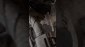 Где находится номер двигателя на тойота королла е120/Toyota Corolla e120
