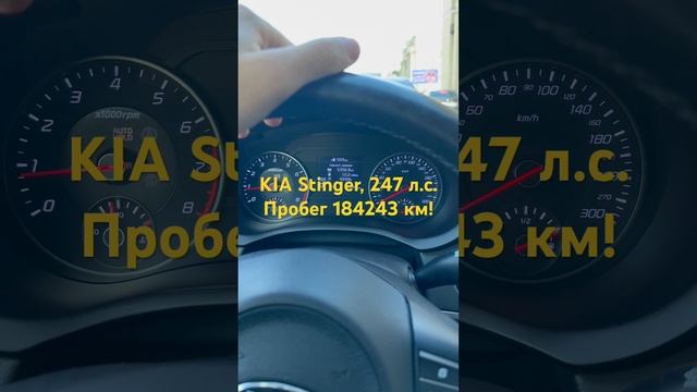 ￼ KIA Stinger, КИА Стингер, 2018 года, 247 л.с. , полный привод. Пробег 184243 км.