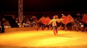 Цирк в  Анапе