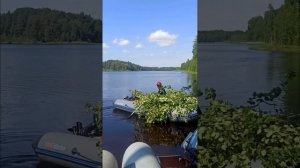 Рыбалка река Свирь июнь 2023
