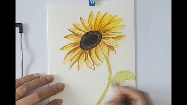 How to draw SUNFLOWER / WATERCOLOR / with INTERESTING FACTS / PAINT WATERCOLOR SUNFLOWER / FLOWERS смотреть онлайн