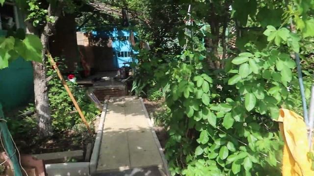 VLOG: Нас чуть не покусали ОСЫ/ Нашли осиное гнездо НА ДАЧЕ/Вернулись домой // Family K // 24.06.1 смотреть онлайн