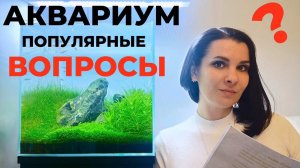Аквариум травник. Частые вопросы