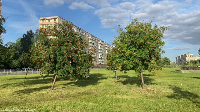 Исфаханский сквер (Фрунзенский район) - Санкт-Петербург  (4K)