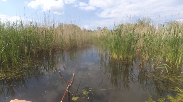 Рыбалка. Ловим красноперку 20 шт смотреть онлайн