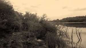 Игорь Растеряев - Медведица