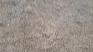 Мытый и гравийный ПГС для бетона высоких марок  Поставка на РБУ