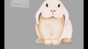 Cute rabbit with flower. Drawing on tablet. (Autodesk SketchBook)