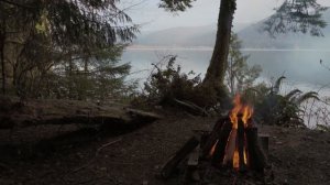 Сказки темного леса: Глава 47 - Елочный террор (Часть 2): Чемоданчик Кримсона