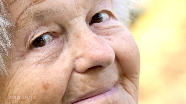 Все смеялись над бабушкой, которая кормила уличных бомжей. А когда она стала миллионершей, то... смотреть онлайн