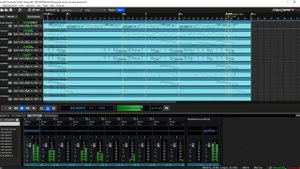MIDI DOWNLOAD - Маленькой елочке холодно зимой.